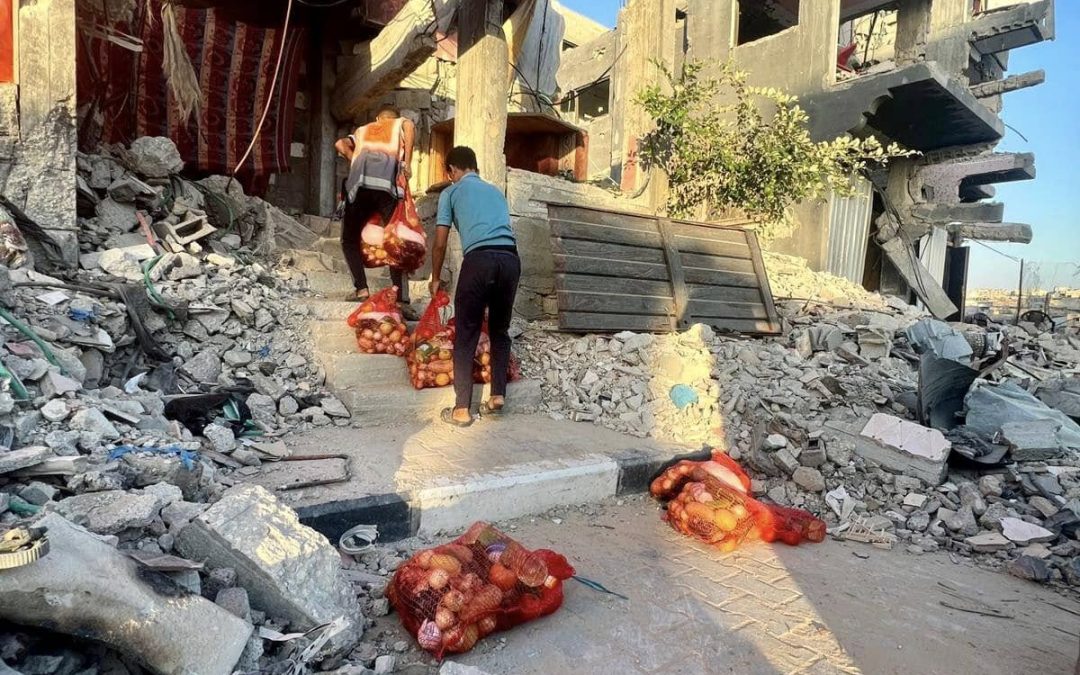 GAZA: One Year of Tragedy, 76 Years of Struggle